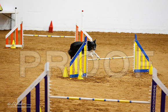 _JJ_4738-FWAgilJun2015-HR3