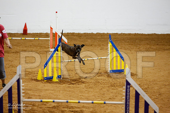 _JJ_4647-FWAgilJun2015-HR3