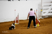 JWW Exc 16 Sat Linda Wilson Brandy