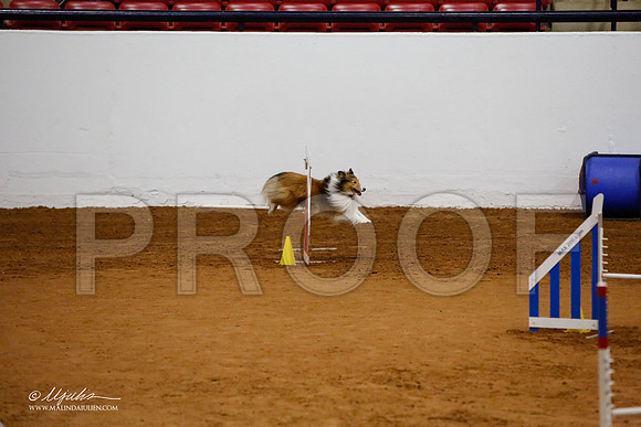 _JJ_4700-FWAgilJun2015-HR3