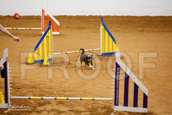 _JJ_5877-FWAgilJun2015-HR3