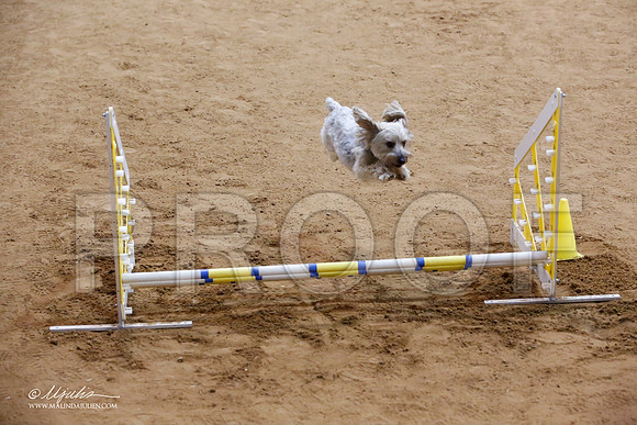 _JJ_5927-FWAgilJun2015-HR3