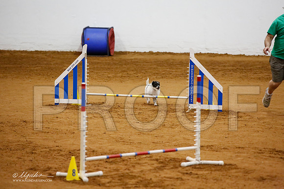 _JJ_5842-FWAgilJun2015-HR3