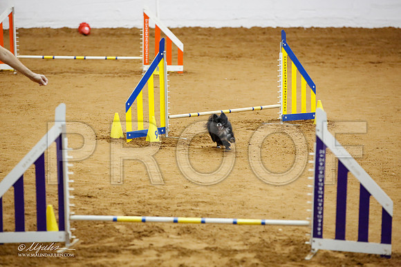 _JJ_5863-FWAgilJun2015-HR3