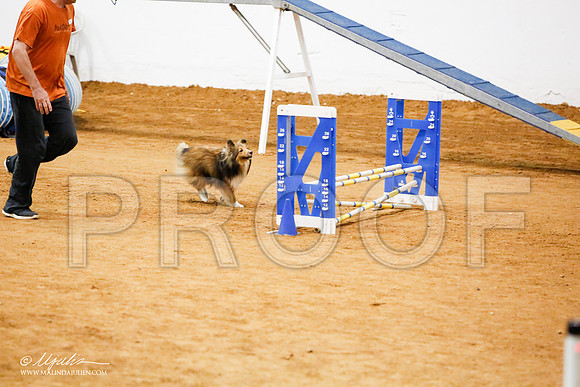 _JJ_8374-FWAgilJun2015-HR3