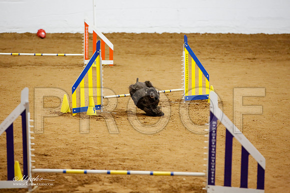 _JJ_6103-FWAgilJun2015-HR3