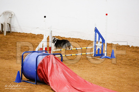 _JJ_8490-FWAgilJun2015-HR3
