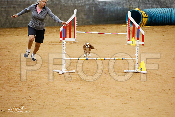 _JJ_7383-FWAgilJun2015-HR3