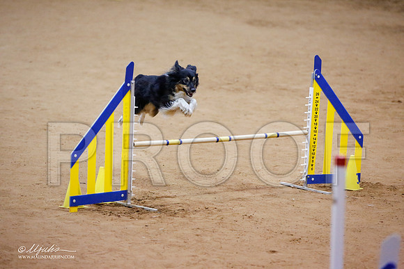 _JJ_7435-FWAgilJun2015-HR3