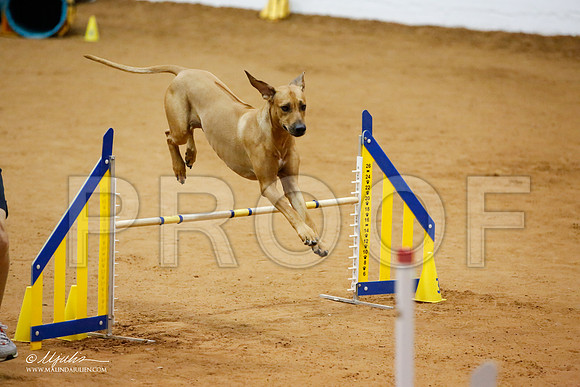 _JJ_7571-FWAgilJun2015-HR3