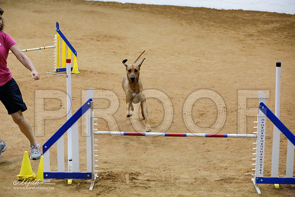 _JJ_7572-FWAgilJun2015-HR3
