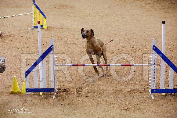 _JJ_7580-FWAgilJun2015-HR3