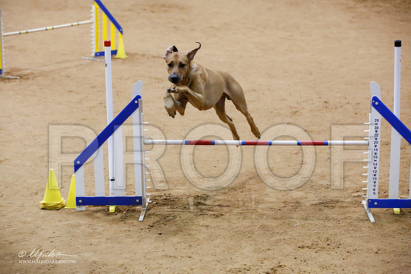 _JJ_7581-FWAgilJun2015-HR3