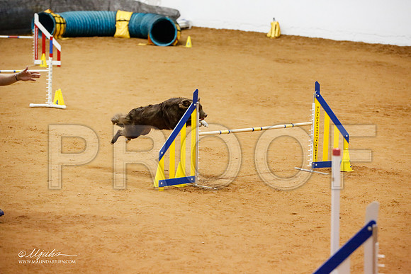 _JJ_7540-FWAgilJun2015-HR3