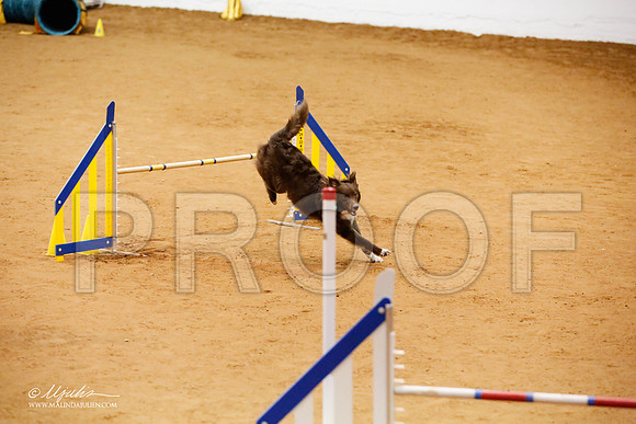 _JJ_7541-FWAgilJun2015-HR3