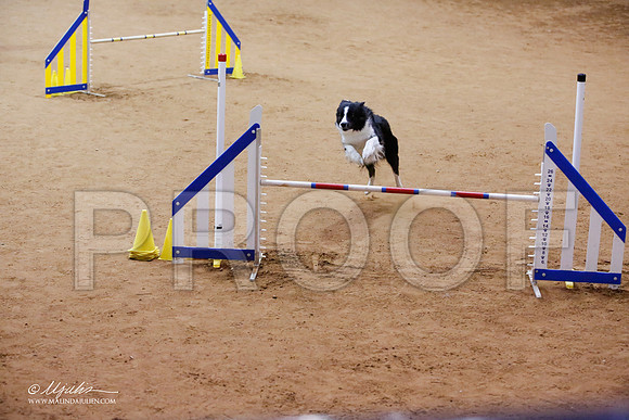 _JJ_7496-FWAgilJun2015-HR3