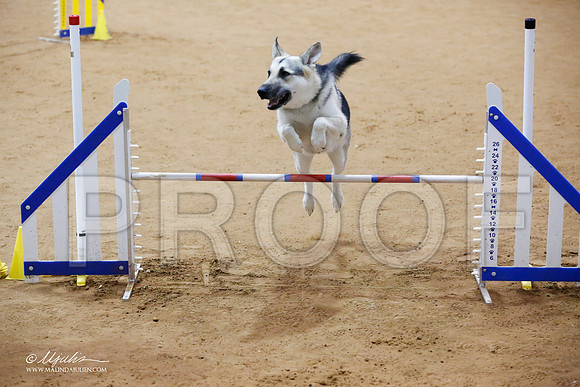 _JJ_7601-FWAgilJun2015-HR3