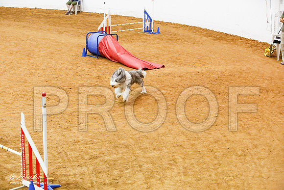 _JJ_7696-FWAgilJun2015-HR3