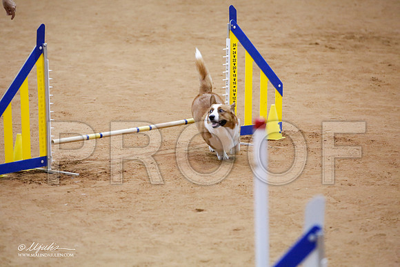_JJ_7326-FWAgilJun2015-HR3