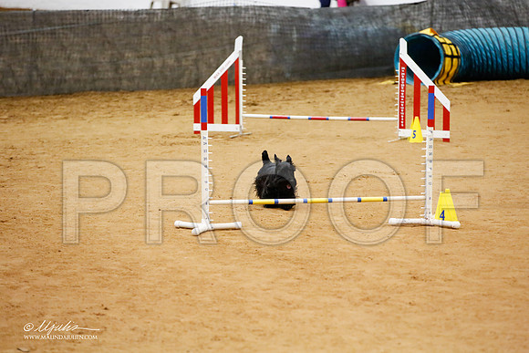 _JJ_7298-FWAgilJun2015-HR3
