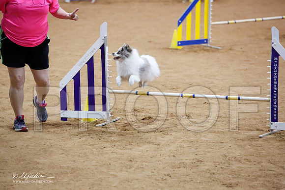 _JJ_7038-FWAgilJun2015-HR3