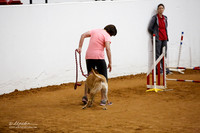 JWW Opn 20 Sat Susy Beliak Dallas