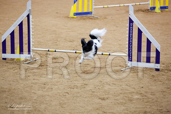 _JJ_7007-FWAgilJun2015-HR3