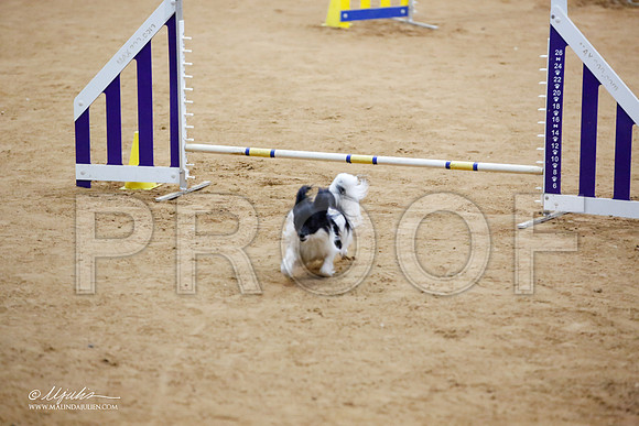 _JJ_7008-FWAgilJun2015-HR3