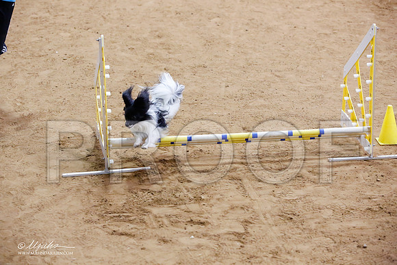 _JJ_7009-FWAgilJun2015-HR3