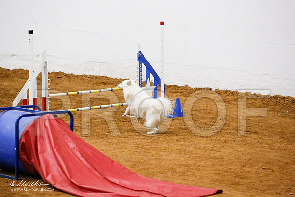 _JJ_6546-FWAgilJun2015-HR3