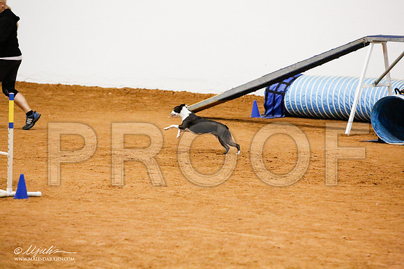 _JJ_6214-FWAgilJun2015-HR3