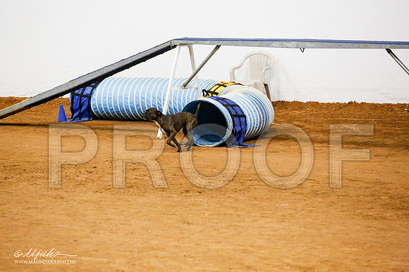 _JJ_5747-FWAgilJun2015-HR3