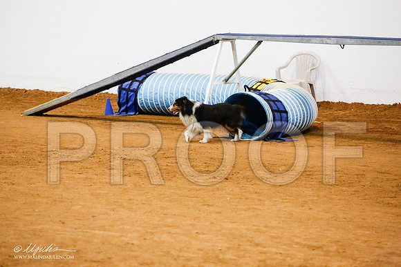 _JJ_6842-FWAgilJun2015-HR3