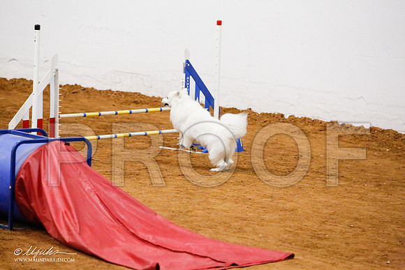 _JJ_6459-FWAgilJun2015-HR3