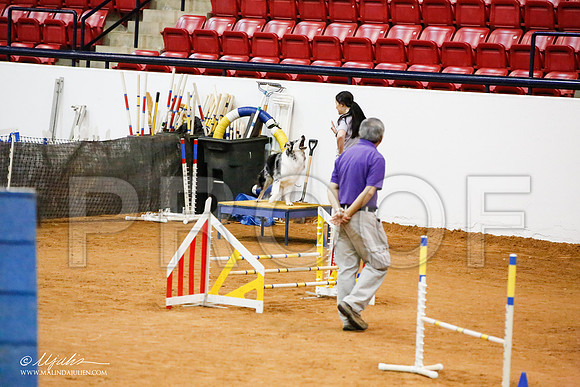 _JJ_6996-FWAgilJun2015-HR3