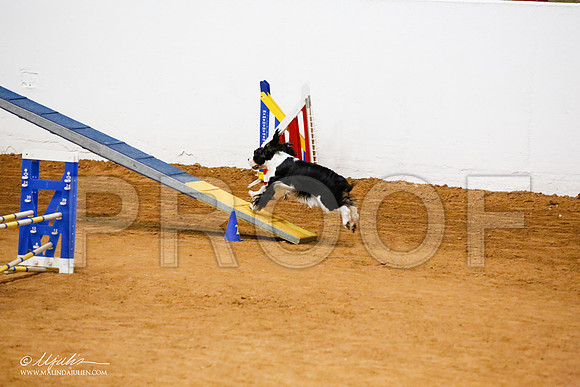 _JJ_7526-FWAgilJun2015-HR3