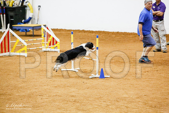 _JJ_7548-FWAgilJun2015-HR3