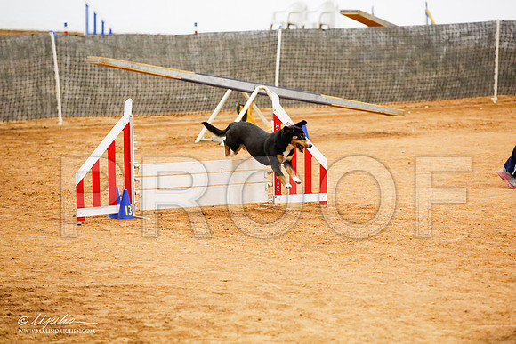 _JJ_6707-FWAgilJun2015-HR3
