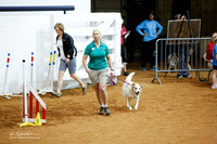 JWW Exc 20 Sat Alison Bradley Brandy