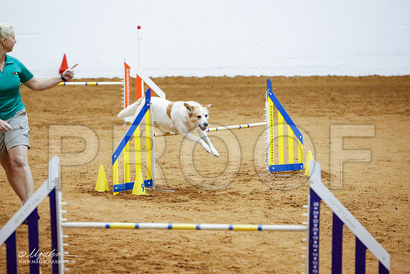 _JJ_3638-FWAgilJun2015-HR3