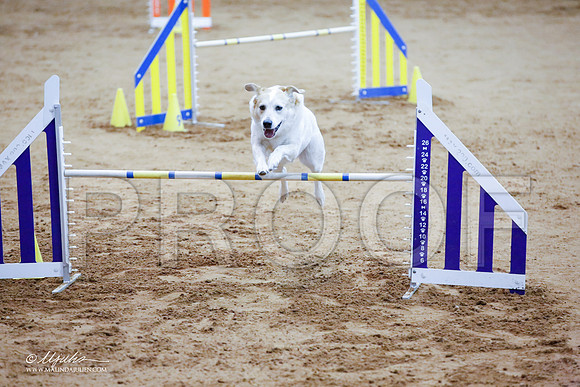 _JJ_3639-FWAgilJun2015-HR3