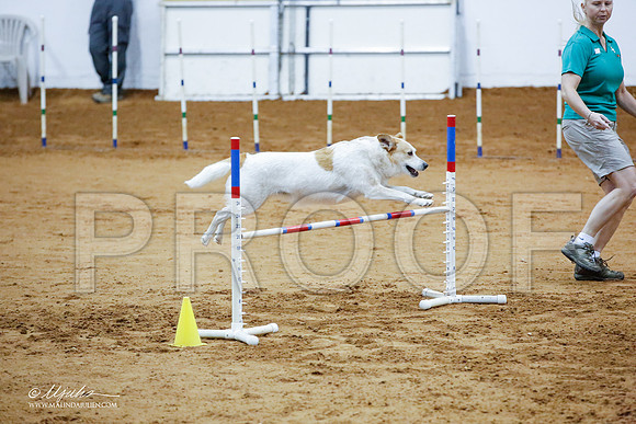 _JJ_3647-FWAgilJun2015-HR3
