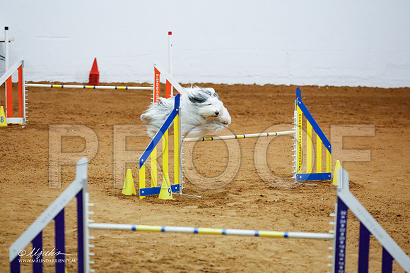 _JJ_4341-FWAgilJun2015-HR3