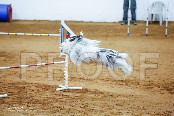_JJ_4345-FWAgilJun2015-HR3