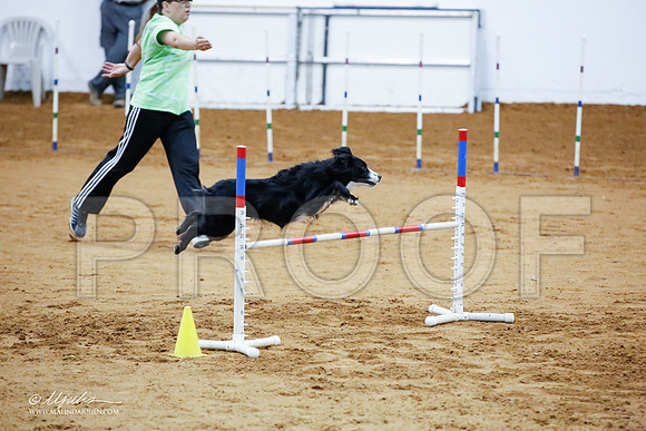 _JJ_3419-FWAgilJun2015-HR3