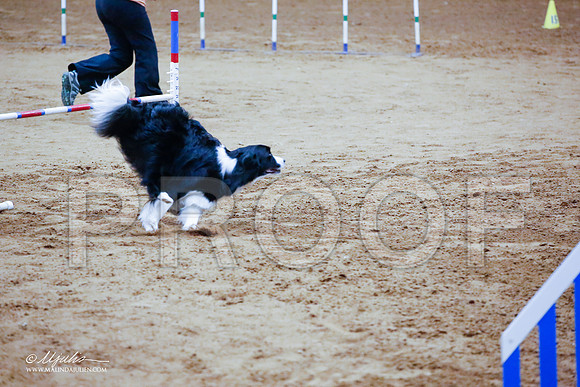 _JJ_3525-FWAgilJun2015-HR3