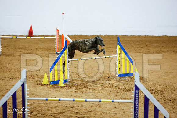 _JJ_4293-FWAgilJun2015-HR3