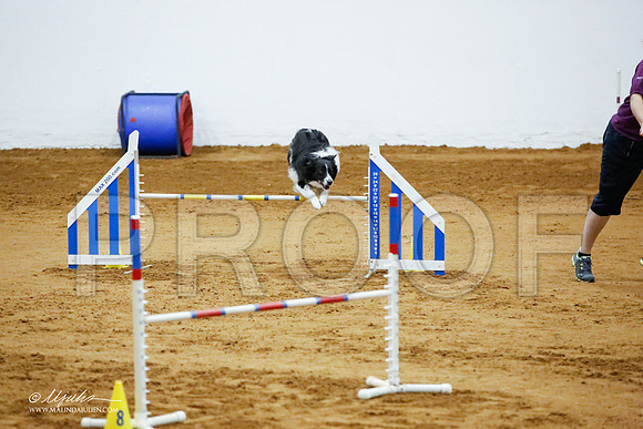 _JJ_3625-FWAgilJun2015-HR3