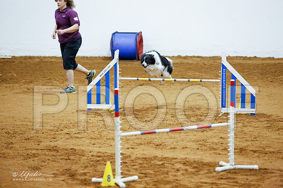 _JJ_3631-FWAgilJun2015-HR3