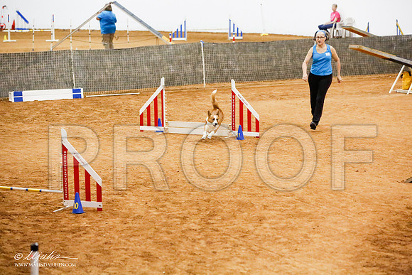 _JJ_2021-FWAgilJun2015-HR3